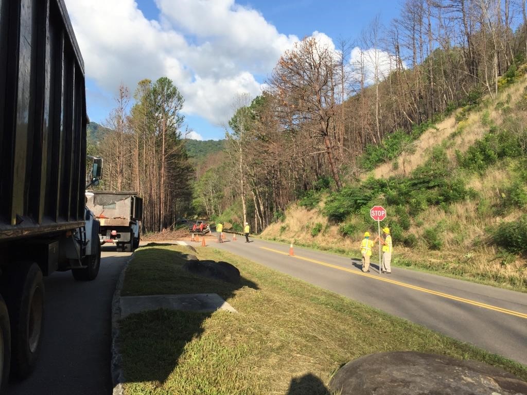 Tree removal employees wearing yellow safety vests and helmets while holding a stop sign and closing one lane with cones for tree removal work.