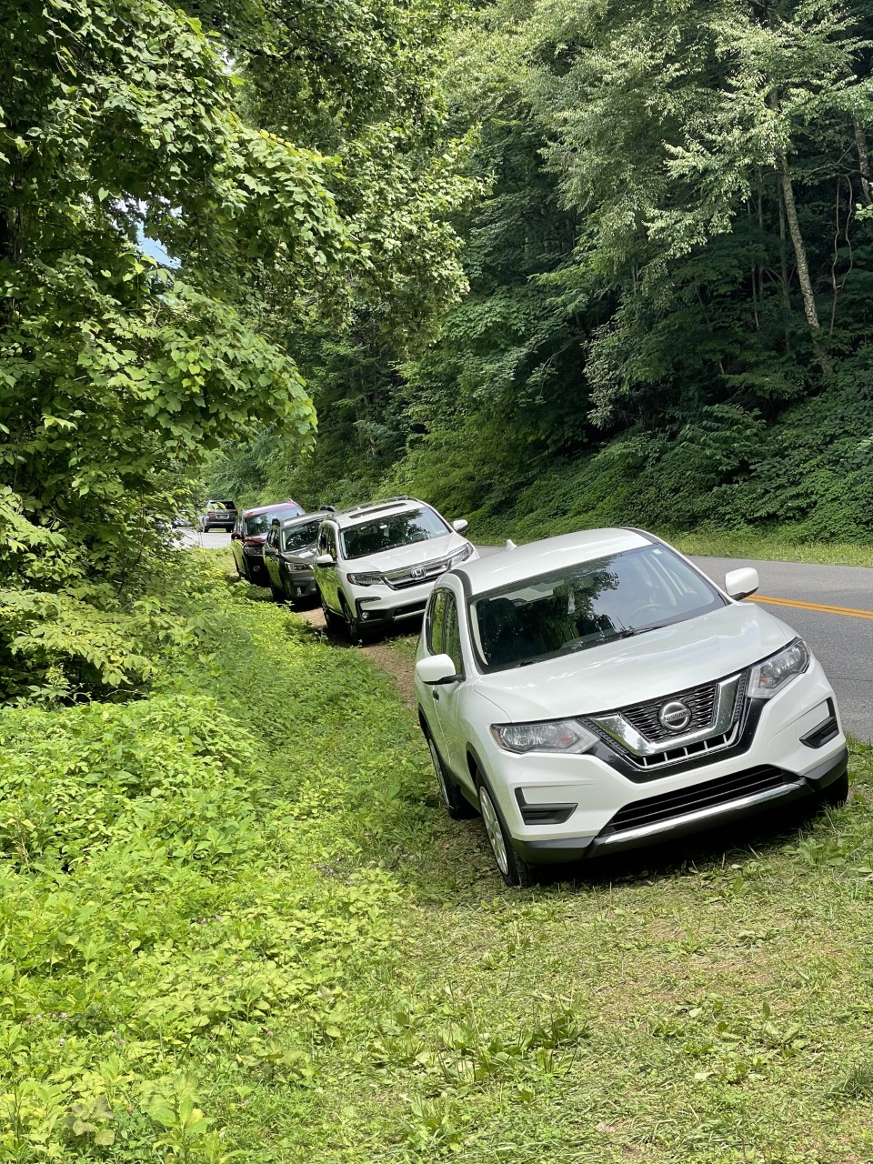 Four cars parked on grass along a roadway. The road is framed by lush greenery, resembling summer time.