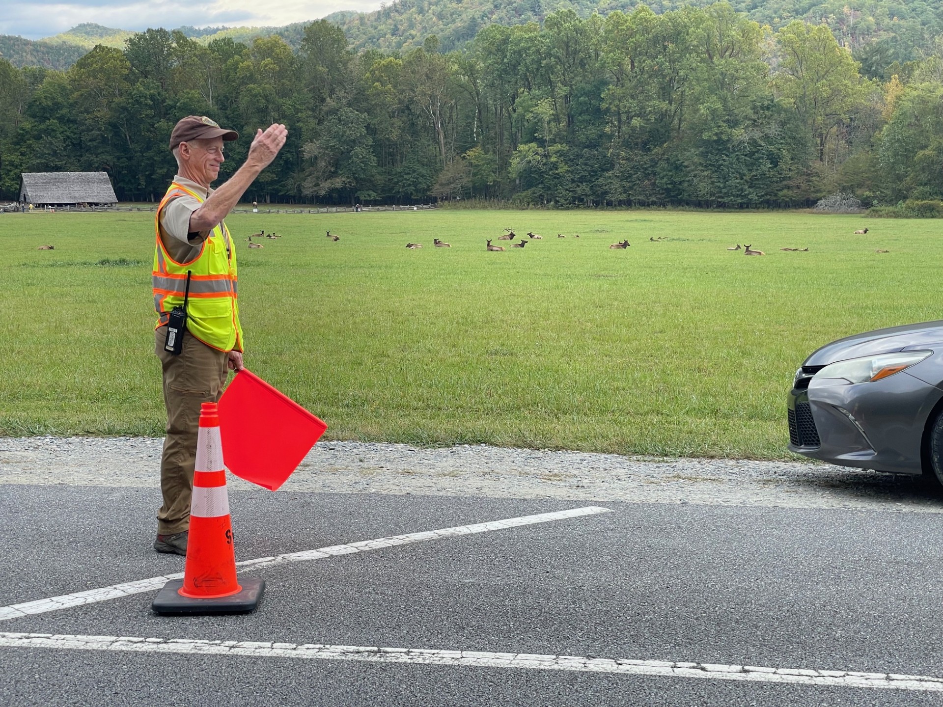 Elk Rover with orange flag managing traffic. In the background is elk in a field.