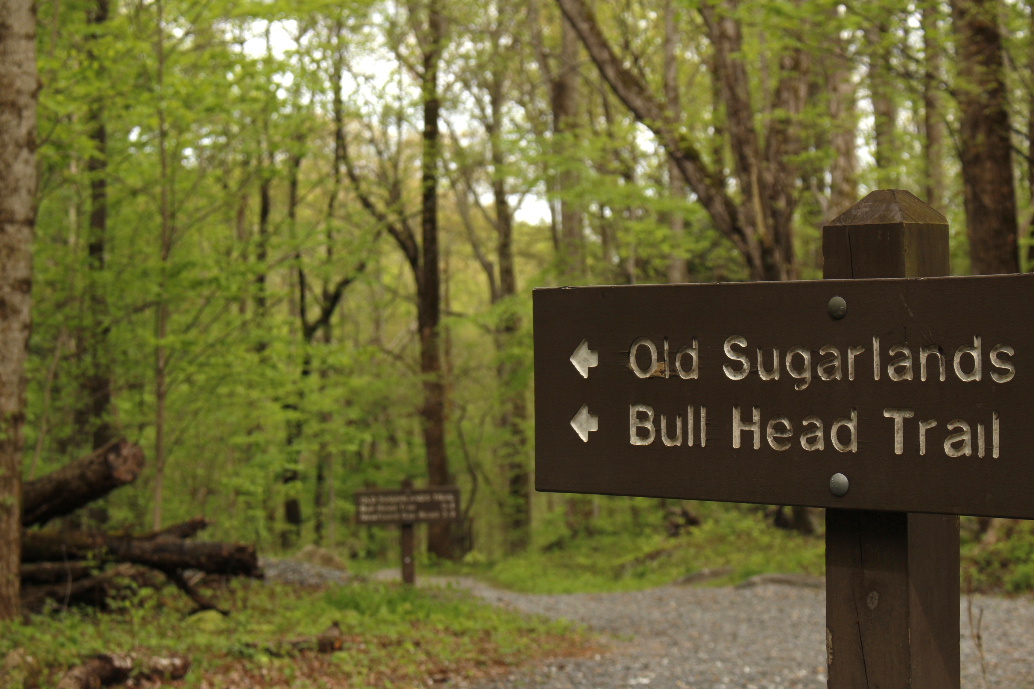 Trail sign for Bull Head and Old Sugarlands trails