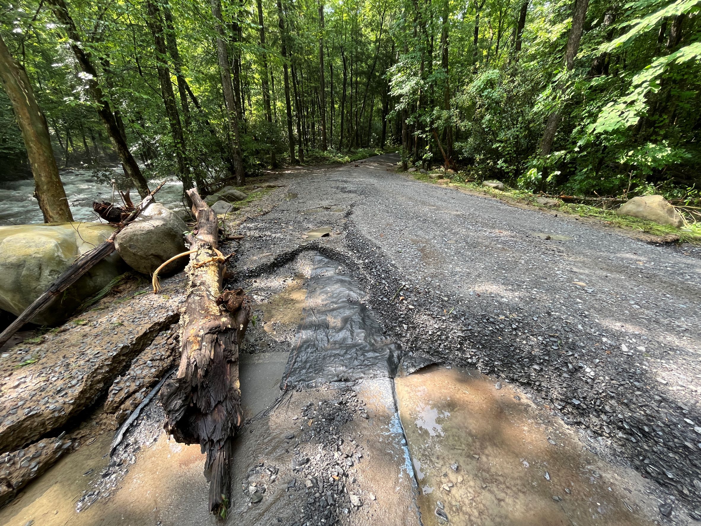 7.13.22 Porters Creek Road section damage A gravel road with a visible washed out section surrounded by debris and a large downed log amid a green forest