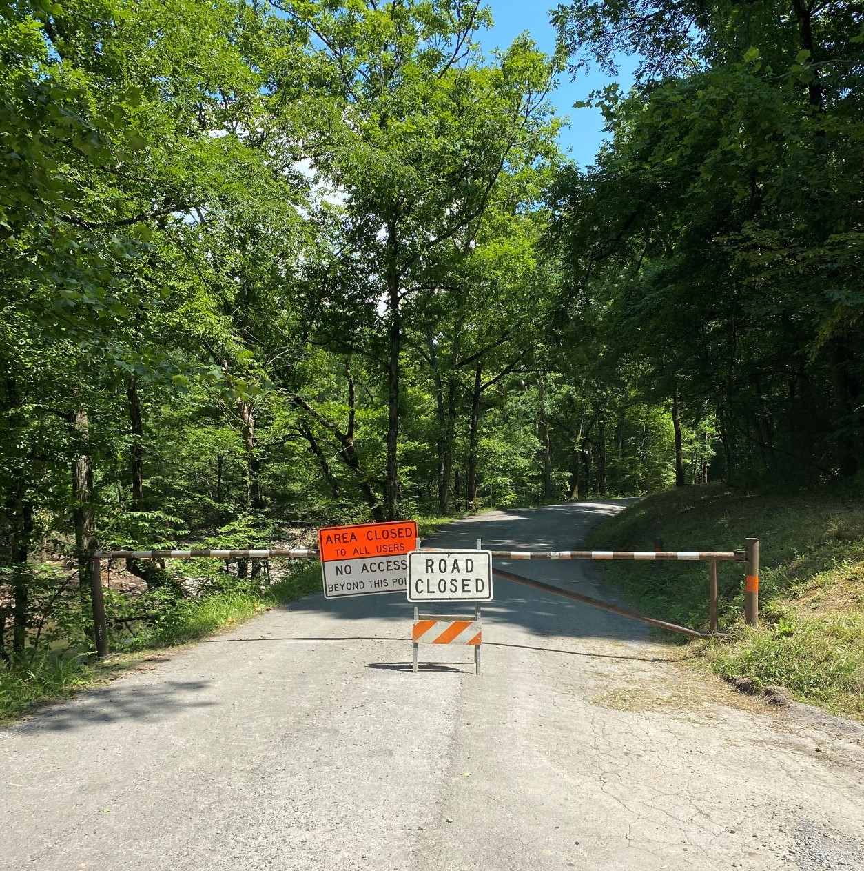 A gravel road with a closed gate across it with signs that read "Area closed to all users. No access beyond this point. Road closed." Green trees surround the gate under a bright blue sky.