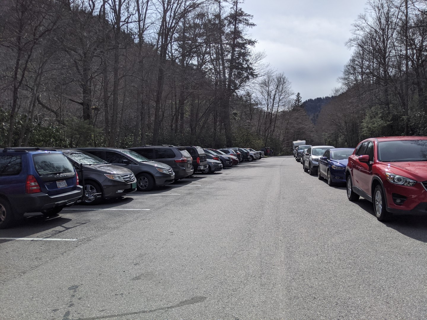 Alum Cave Parking lot