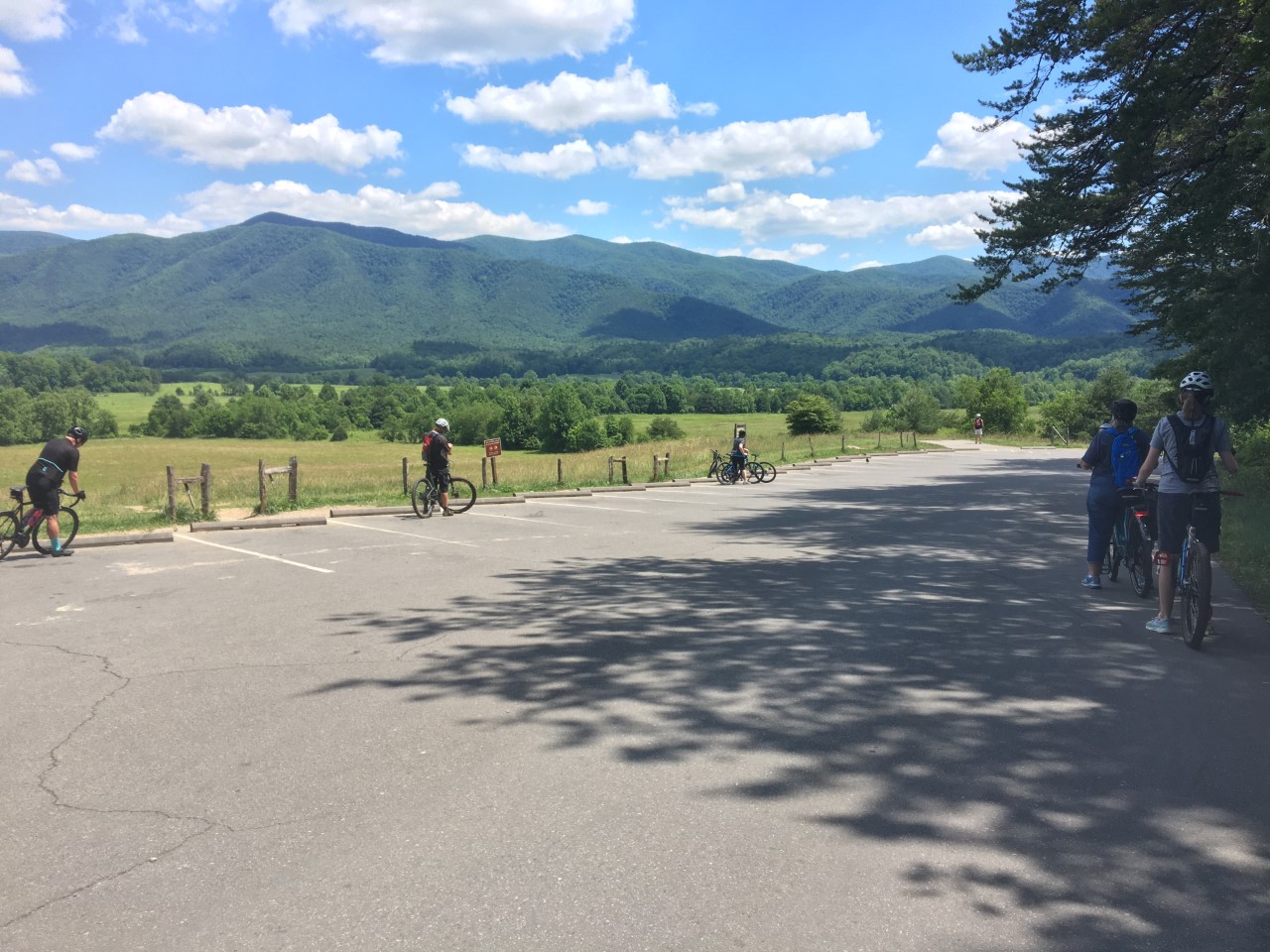 Cyclists riding along a road.