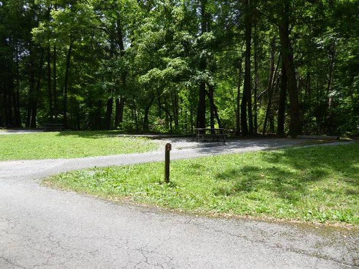 A campsite off of a paved road, shaded by green trees with a picnic table, wooden post, and gravel parking space in view.