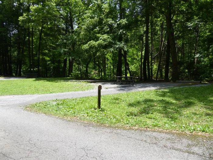 Shaded site at Elkmont Campground A campsite off of a paved road, shaded by green trees with a picnic table, wooden post, and gravel parking space in view.