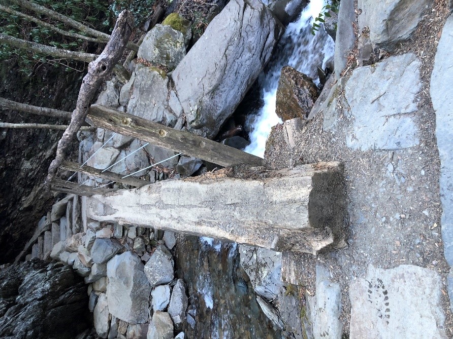 Foot-log Bridge with Arch Rock in background