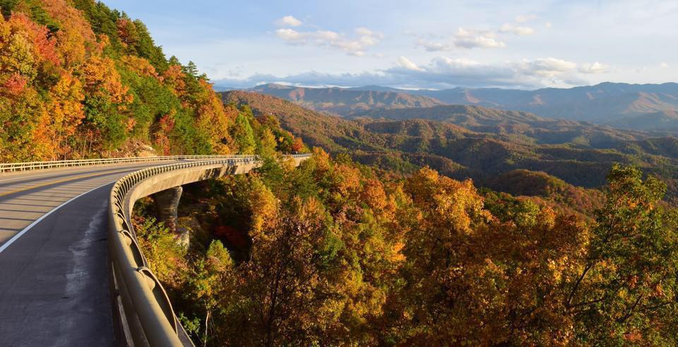 Bridges of the new section of the Foothills Parkway during early Fall