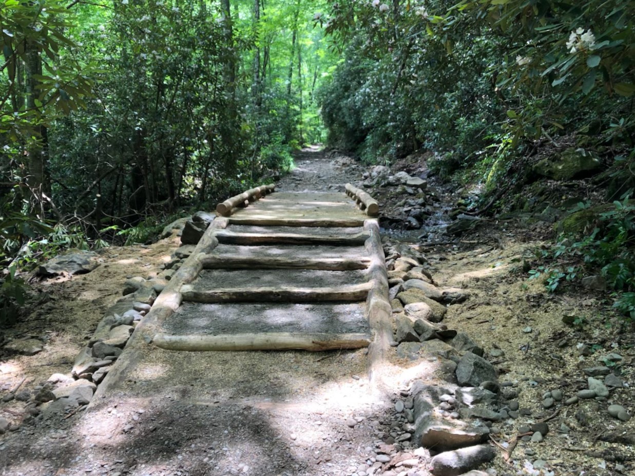 A set of wooden stairs on a trail in a forested area. Trail is lined with rocks and dirt. A set of wooden stairs on a trail in a forested area. Trail is lined with rocks and dirt.