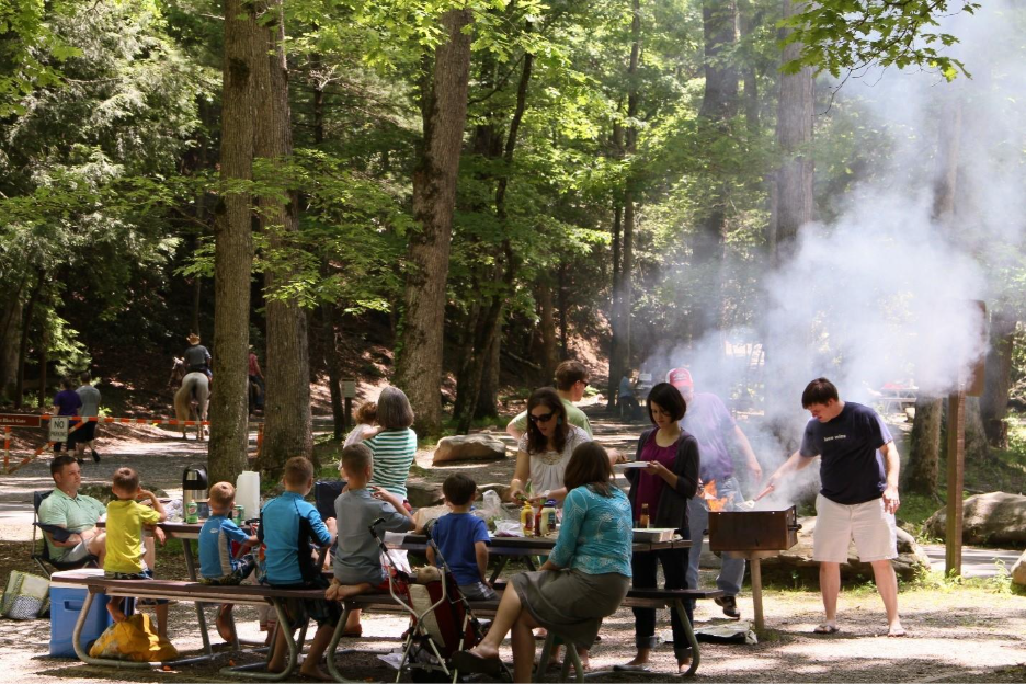 A large group enjoys a picnic in a busy picnic area on a sunny day.