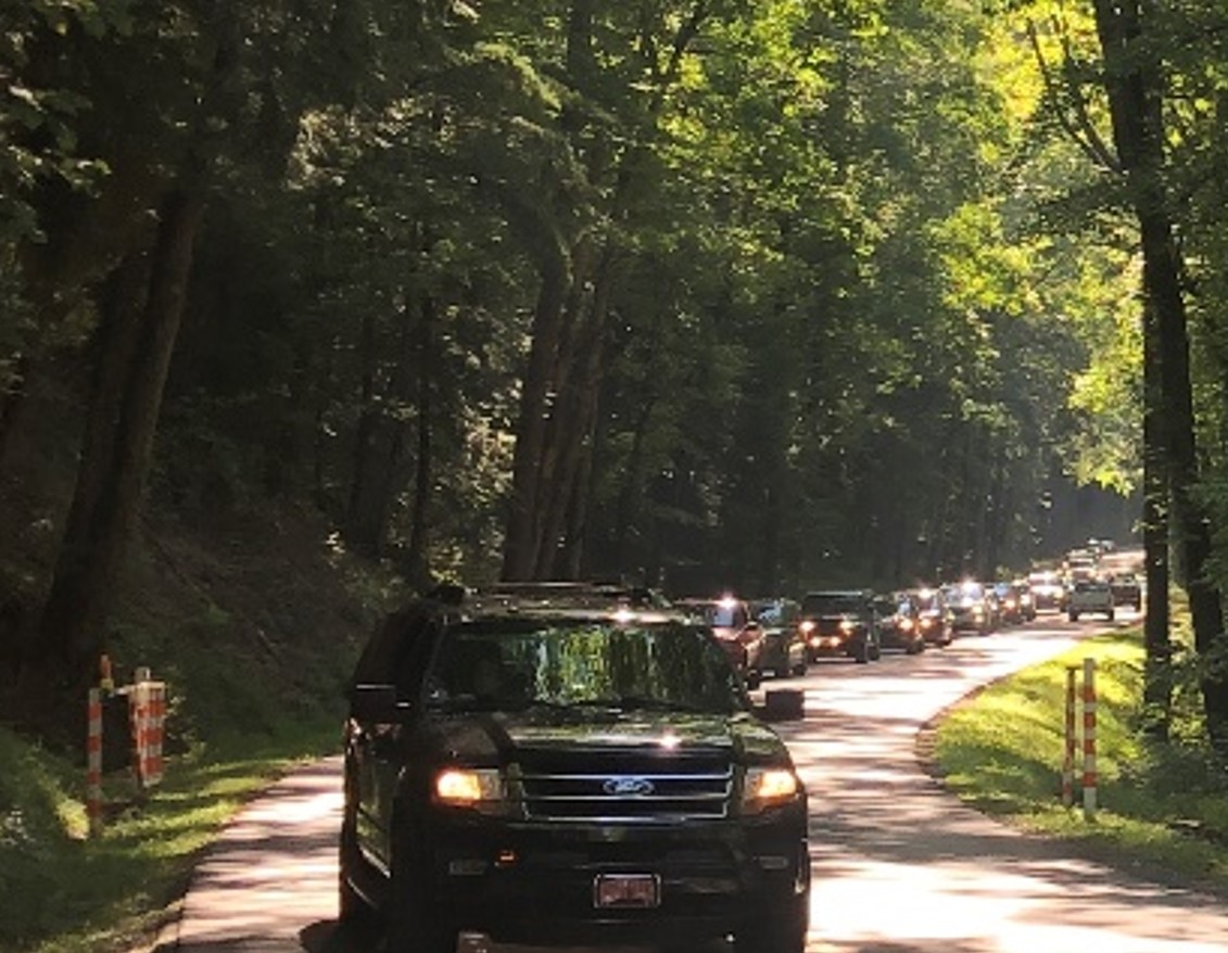 Laurel Creek Road Traffic on Vehicle Free Days Laurel Creek Road Traffic on Vehicle Free Days