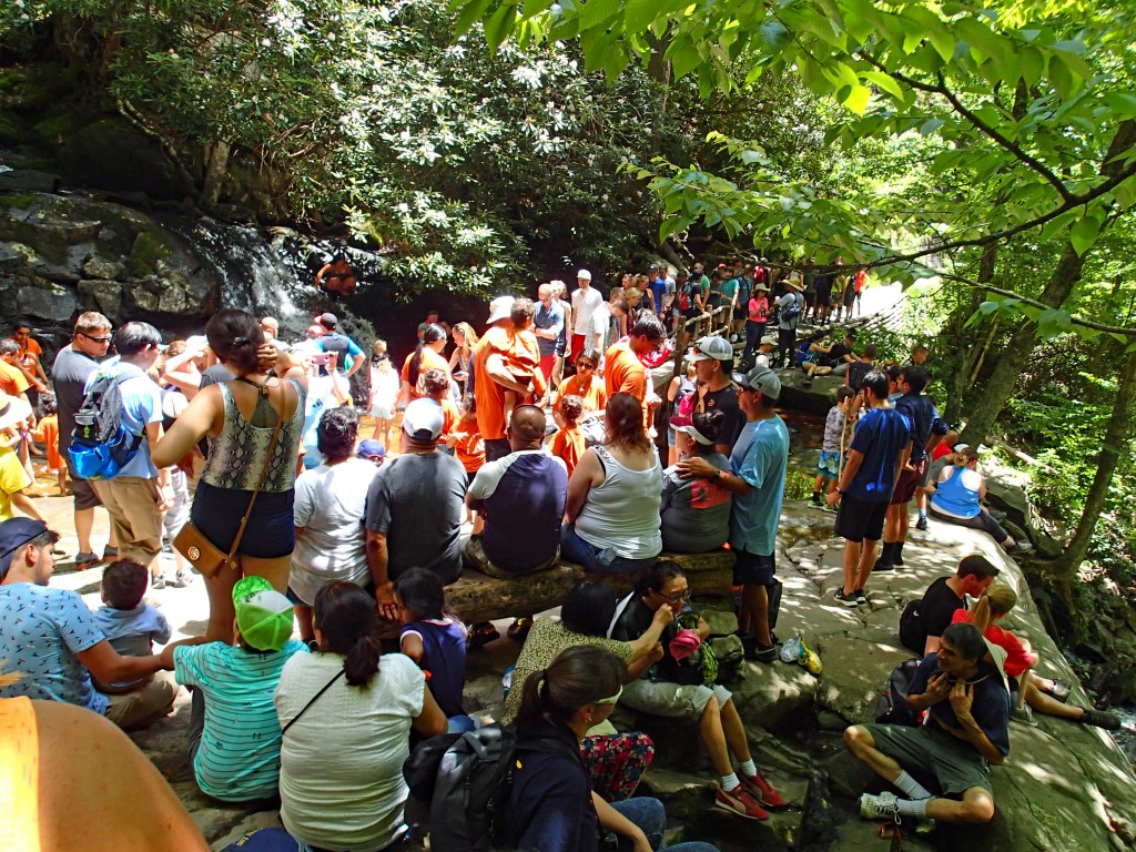 Crowd of People Hiking to Laurel Falls Many People Crowded on trail near Laurel Falls.