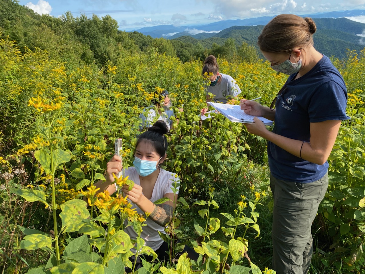 People record on paper while looking at plants in a field with mountains in background.