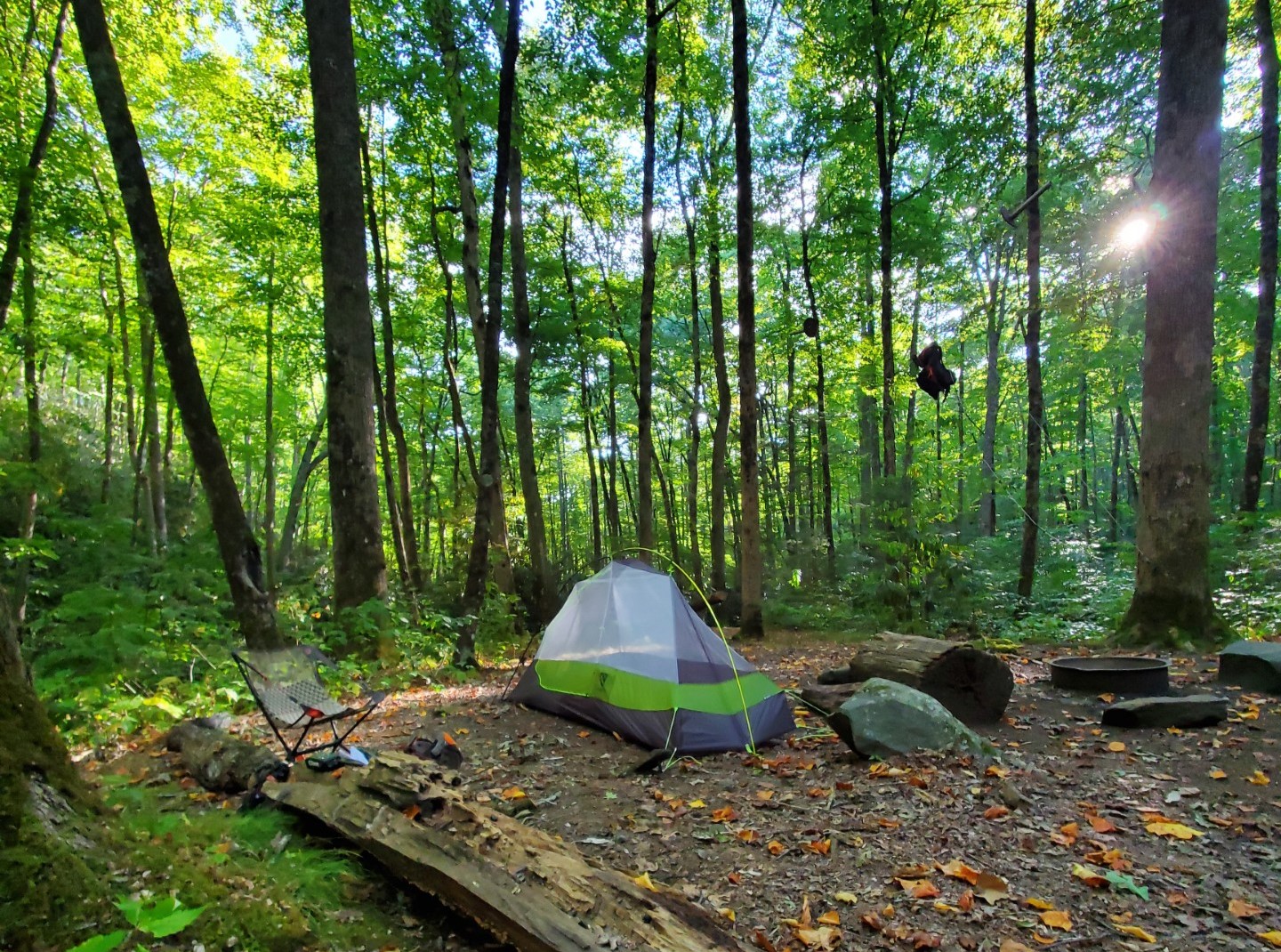 Green and white tent surrounded by trees at a backcountry campsite