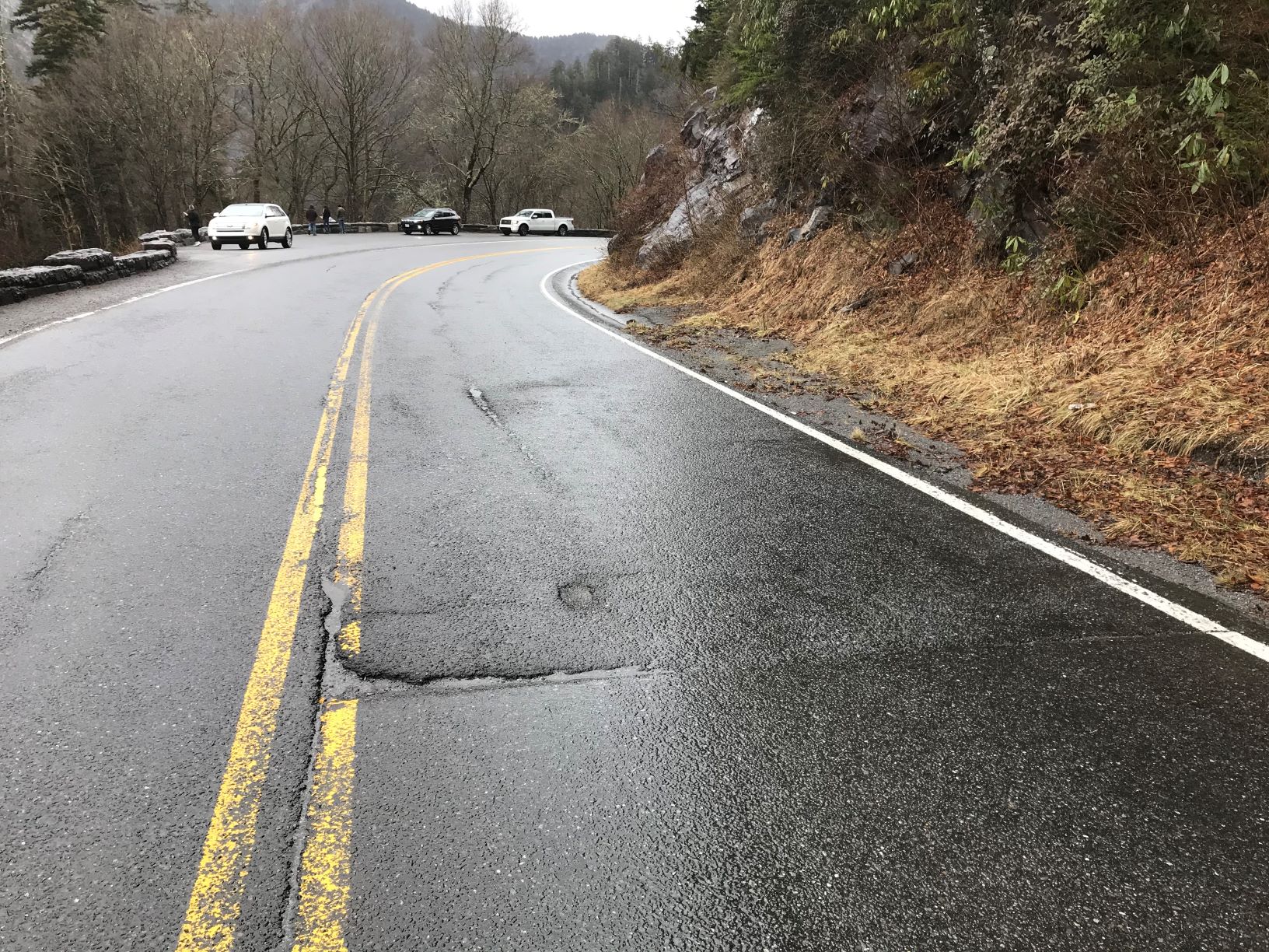Road through a forest with pavement damage.