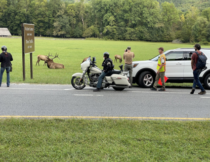 Ononaluftee elk VIP volunteer and visitors view elk
