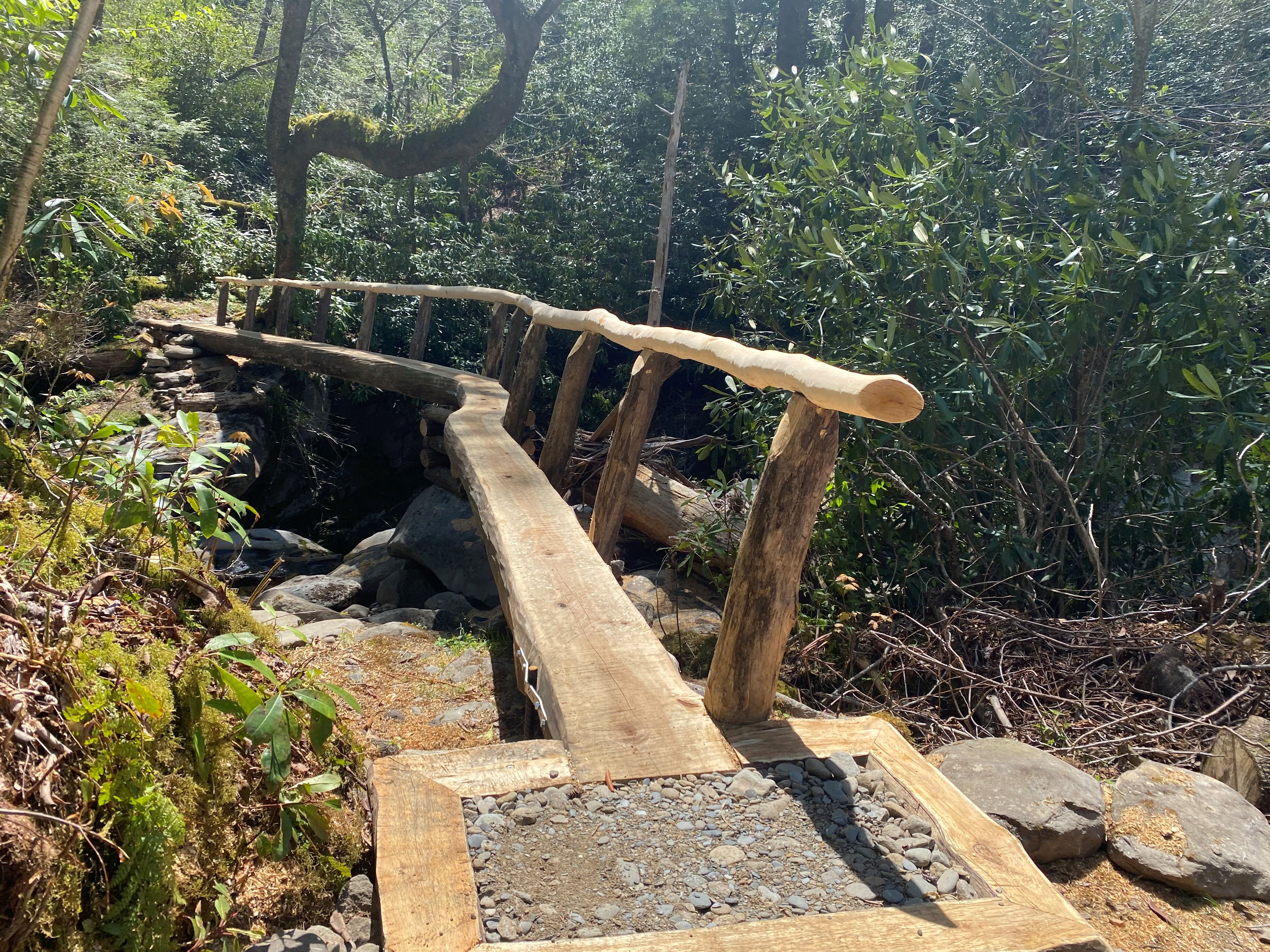 wood footlog bridge crossing a creek