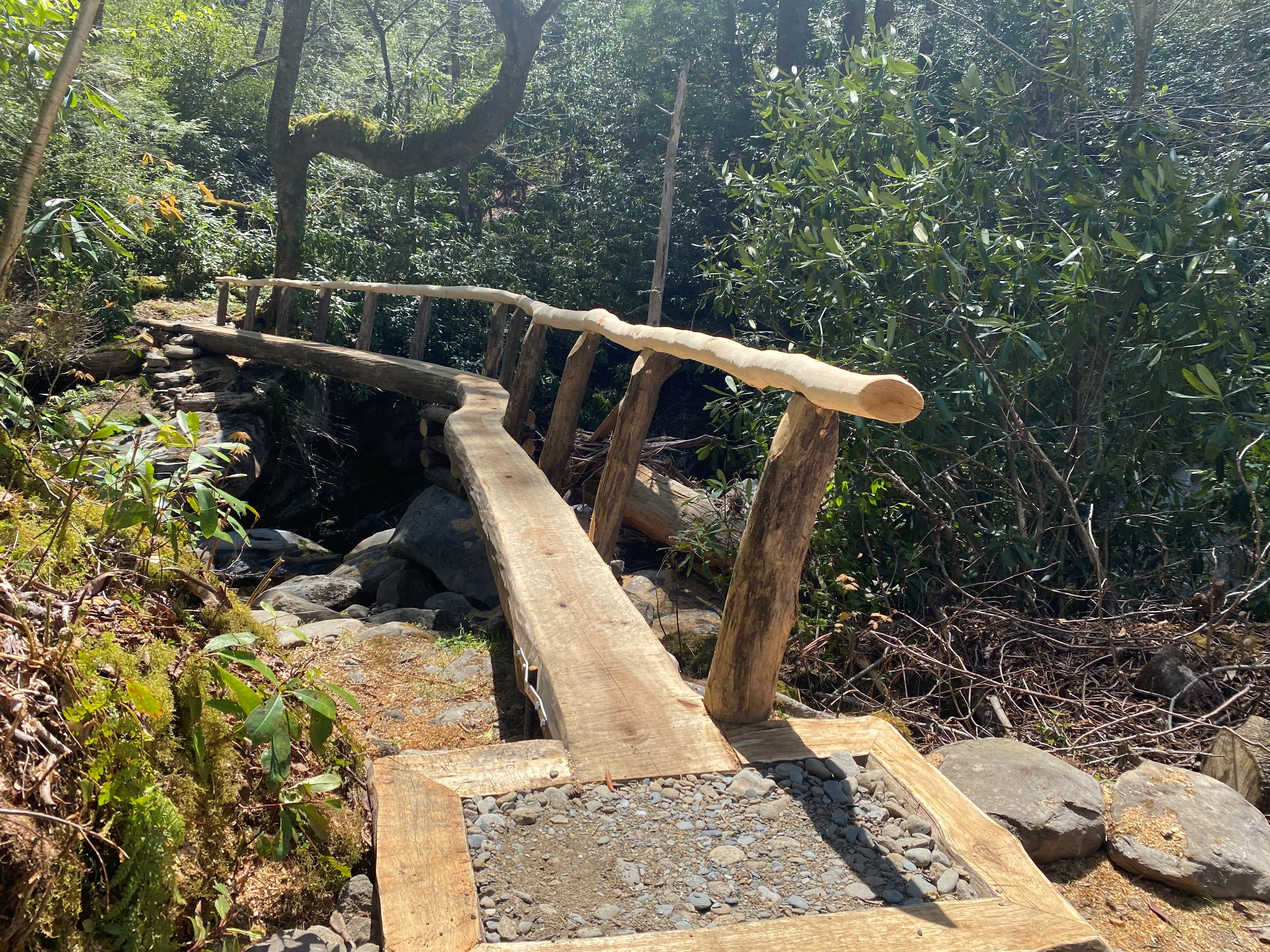 Ramsey Cascades footlog 052023 wood footlog bridge crossing a creek