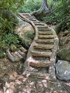 A staircase made of logs ascends a trail lined by trees