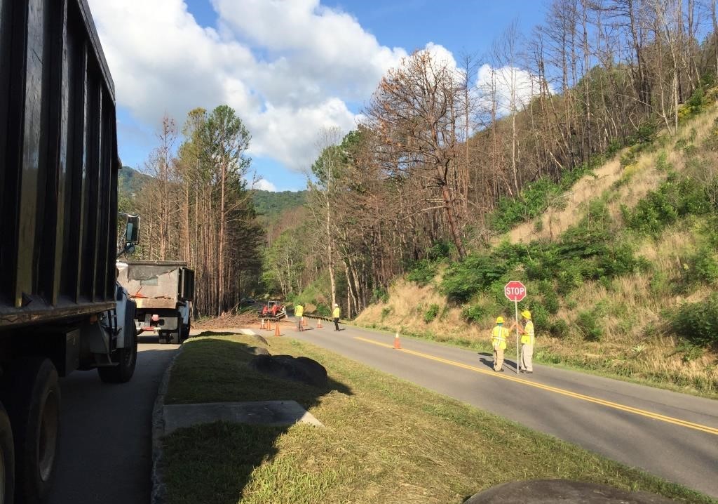 Workers and vehicles at tree removal site on road through forest.