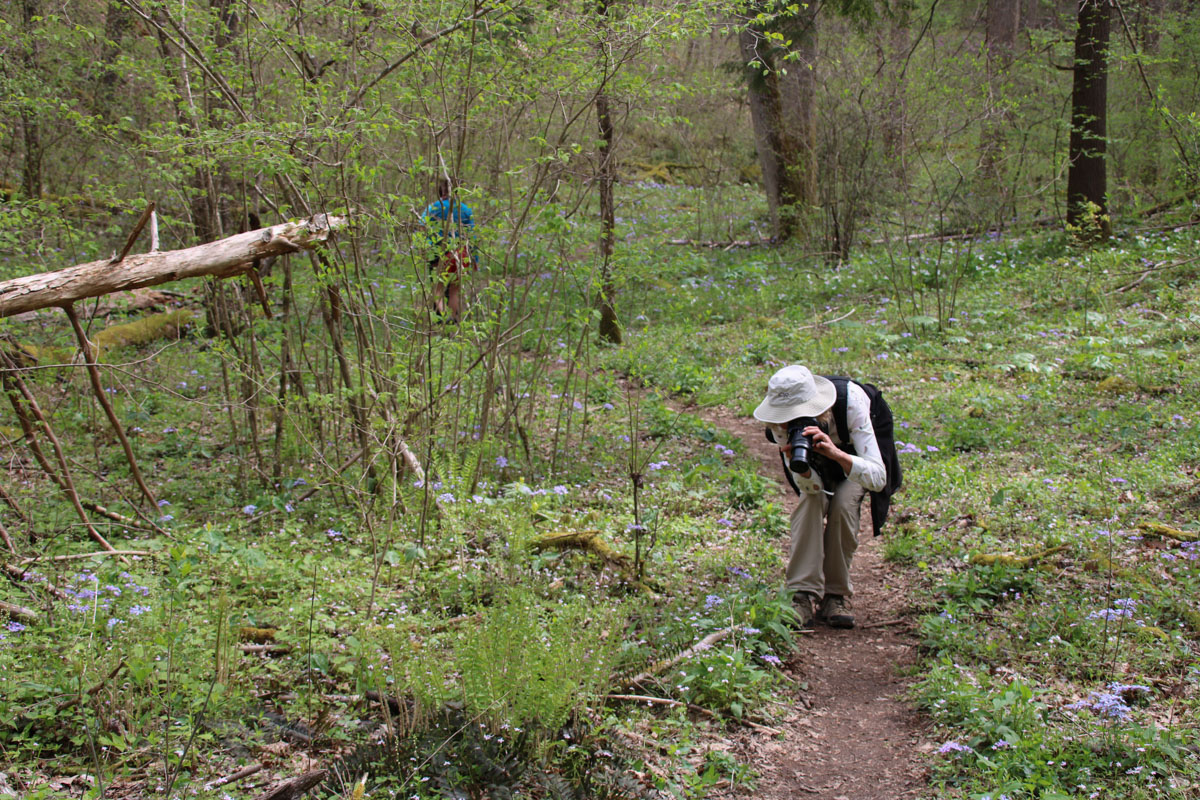 a visitor takes a photo of wildflowers from a distance