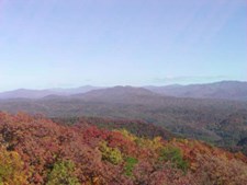 The view into the park from the Look Rock webcam. The view into the park from the Look Rock webcam.