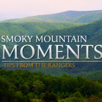 A NPS arrowhead and text on a mountain background. Text says: Smoky Mountain Moments tips from the ranger