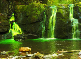 Water turns green with dye added to Antimycin.