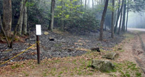 An unplanned wildfire that spread near Laurel Falls.