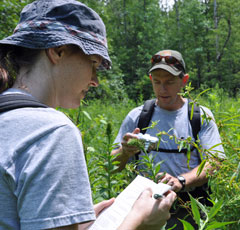 Conducting a wetland inventory.