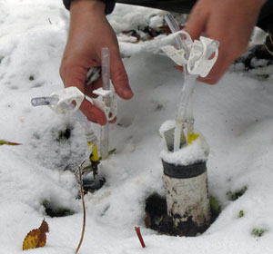 Researchers draw water held in the soil through these lysimeters.