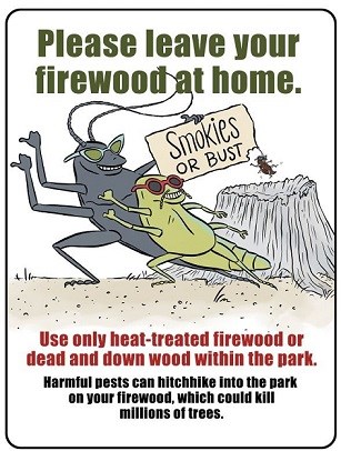 Two invasive insects hitch hiking with a Smokies or bust sign and a dead tree stump behind them