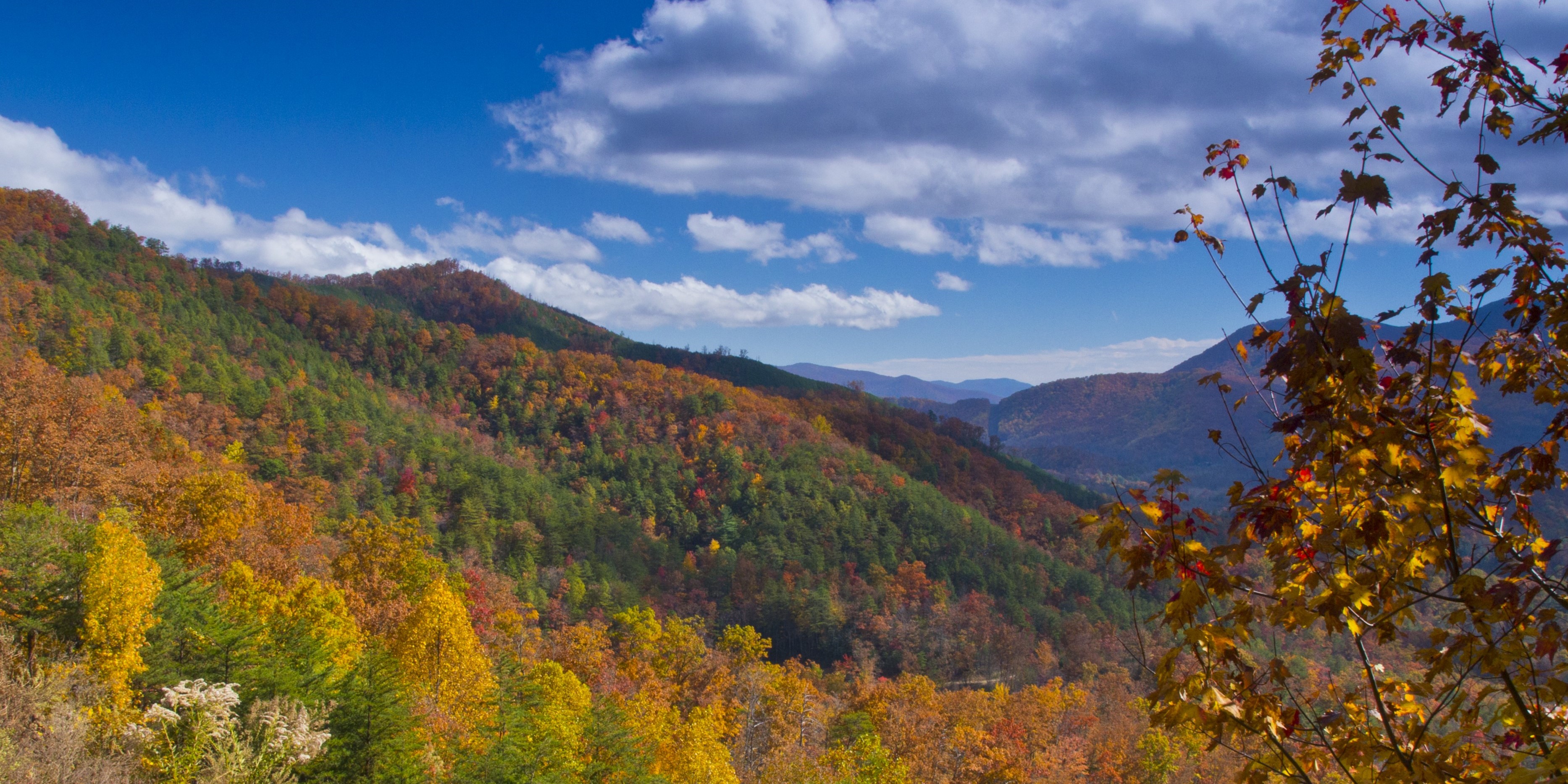 Rolling mountains with colorful, fall trees under a blue sky.