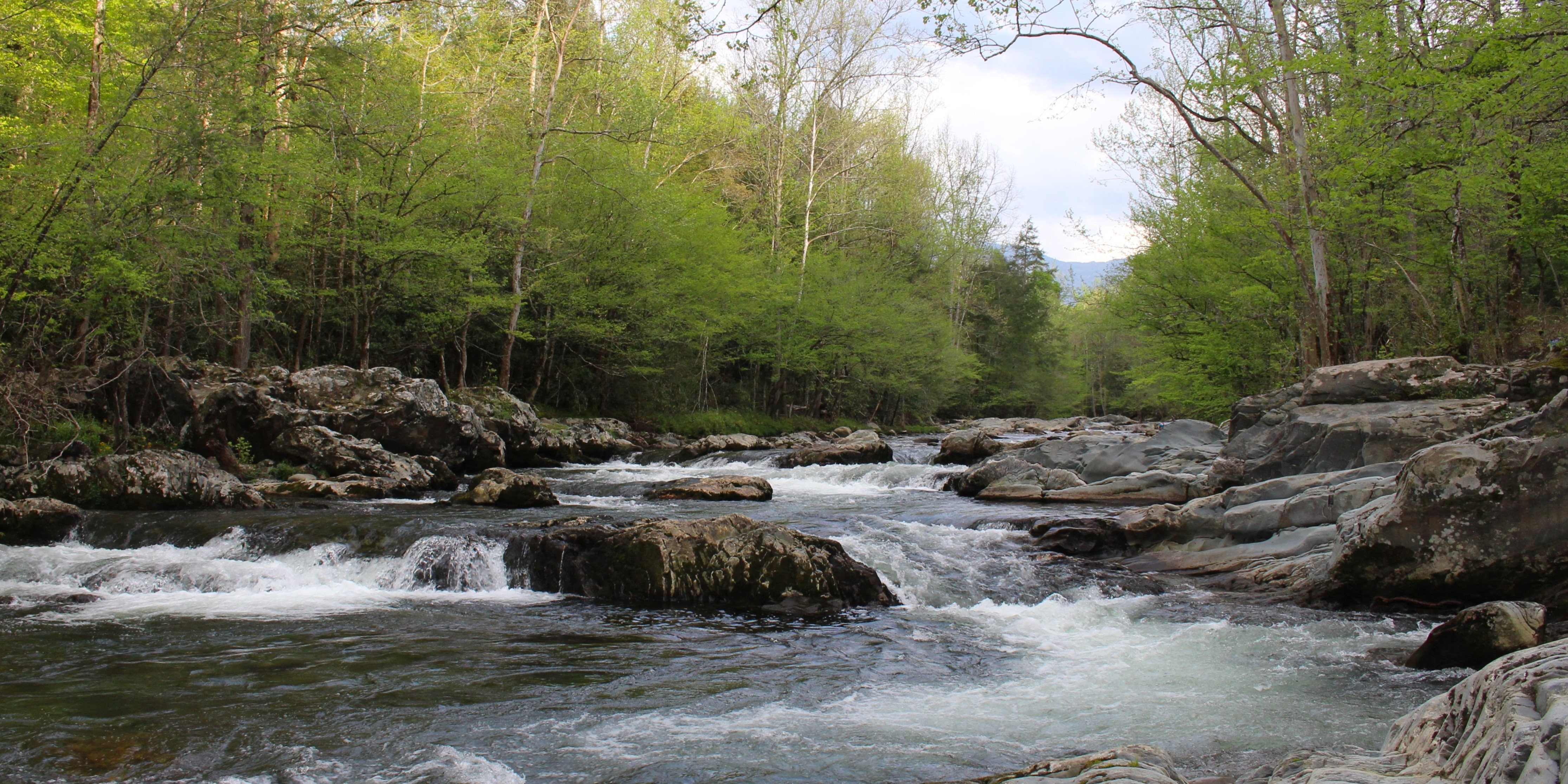 Greenbrier Area - Great Smoky Mountains National Park (U.S. National Park  Service), image size:4461x2231
