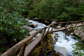 kid friendly hikes in smoky mountains