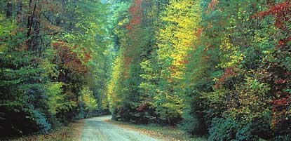 Tennessee State Parks Running Tour - Tennessee Running Tour