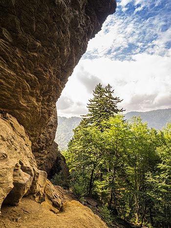 The lower portion of the cliff face at Alum Cave Bluffs. The lower portion of the cliff face at Alum Cave Bluffs.