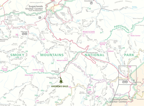 Hike to Andrews Bald Great Smoky Mountains National Park U.S
