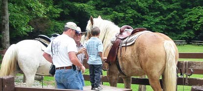 The stables in Cades Cove offer horse riding from mid-March through early November.