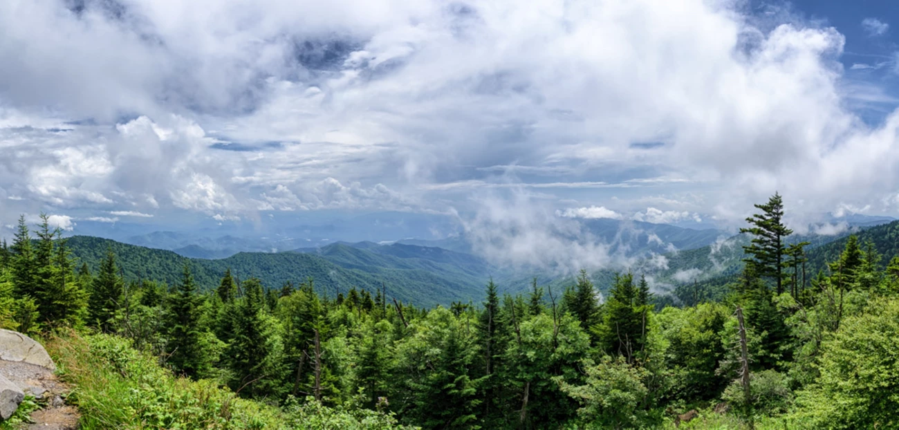 Clouds over Clingmans_July'17_KPlaas A mountain overlook framed by green trees and fluffy clouds in a partly sunny sky