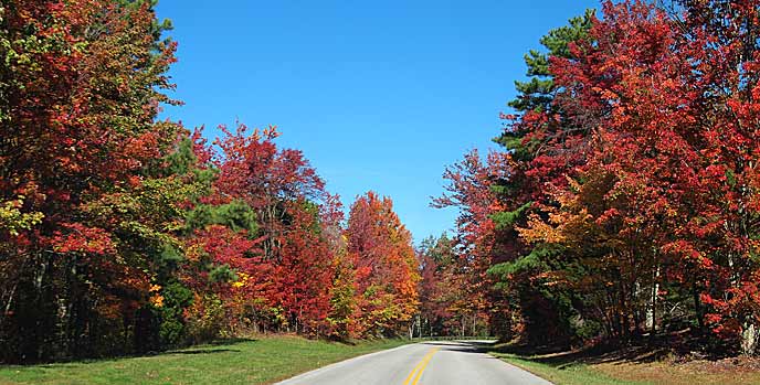 Trees will bright red leaves line Foothills Parkway West
