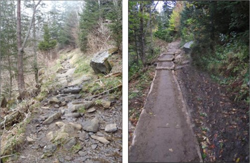 Before and after of locust turnpike