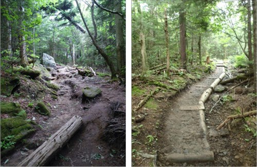 Before and after of log structures in trenched area
