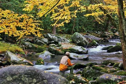 Fisherman on little river in the early fall.