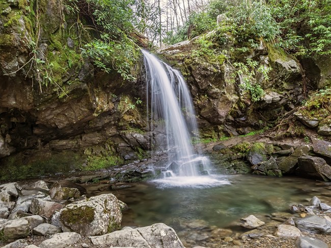 A waterfall frefalling down into a large pool of water in the forest