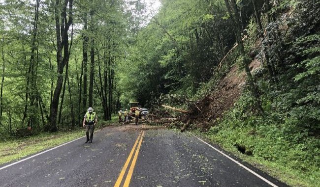 Downed trees and personnel in roadway