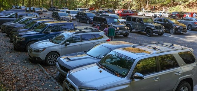 Laurel Falls parking area, October 2021