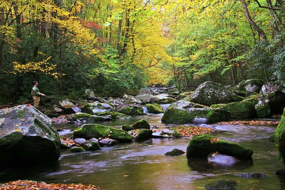 Fishing in the Little River above Elkmont.