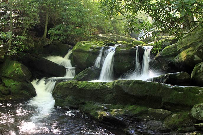 Water cascades over moss-covered boulders in a forest