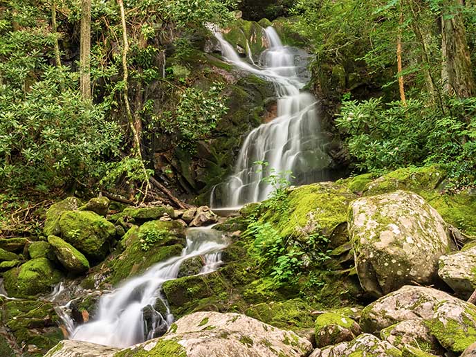 Waterfalls - Great Smoky Mountains National Park (U.S. National